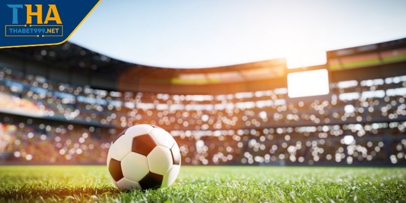 Cách Cược Tài Xỉu Bóng Đá THABET Cơ Bản Cho Người Mới 3 Cách cược tài xỉu bóng đá theo tài