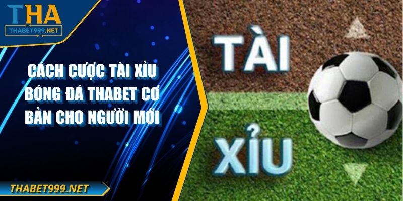 Cách Cược Tài Xỉu Bóng Đá THABET Cơ Bản Cho Người Mới 1 Cách Cược Tài Xỉu Bóng Đá THABET Cơ Bản Cho Người Mới