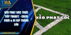 Kèo Phạt Góc Trực Tiếp THABET - Cách Chơi & Bí Kíp Thắng Lớn