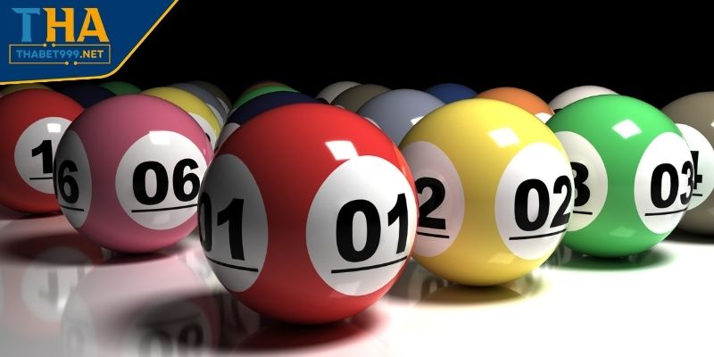 Loại hình 4 càng thường gặp